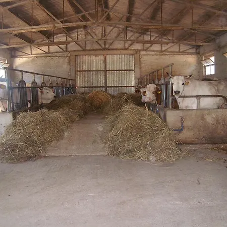Fattoria Del Quondam Alloggio per agriturismo Giano dellʼUmbria
