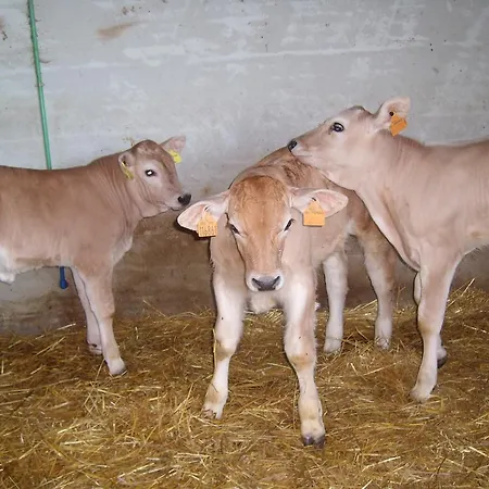 Séjour à la ferme Fattoria Del Quondam *