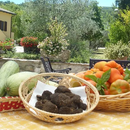 Fattoria Del Quondam Alloggio per agriturismo