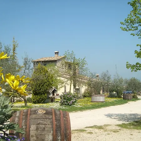 Fattoria Del Quondam Farm stay *