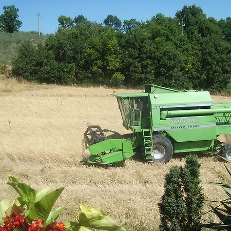 Fattoria Del Quondam Alloggio per agriturismo Giano dellʼUmbria
